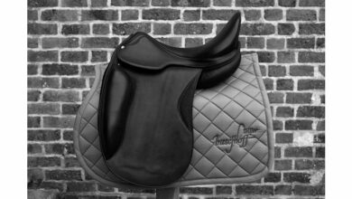En selle ! 4 selleriepercheronne 1