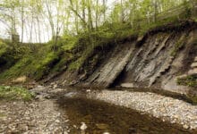 secheresse petite riviere3 1
