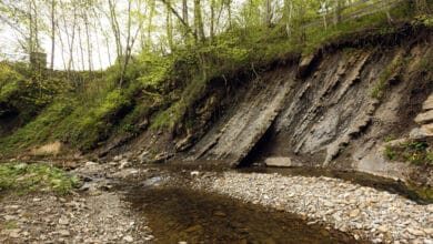 secheresse petite riviere3 1