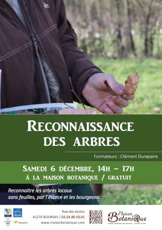 sortie reconnaissance des arbres 1