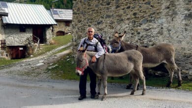 José, berger au long cours 10 transhumance