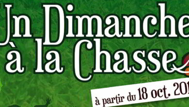 Opération «Un dimanche à la chasse» 6 un dimanche a la chasse bandeau