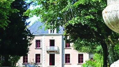 vente aux encheres rouillac 1