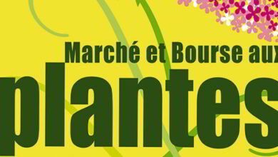 Bourse aux Plantes à Villetrun - Dimanche 24 avril 2016 1 villetrun bourse aux plantes avril 16 bandeau