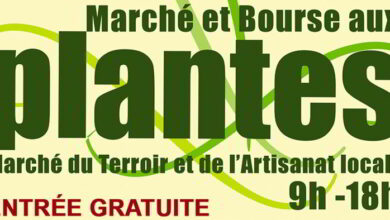 Bourse aux Plantes à Villetrun 17 villetrun fete aux plantes bandeau