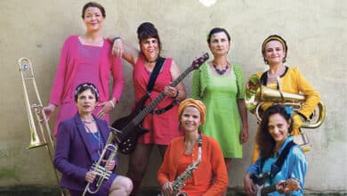 ça se passe au Quai des Arts, à Vibraye (72) 6 visuel melle orchestra avant