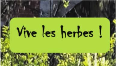 «Vive les herbes !» à St-Firmin-des-Prés 15 vive les herbes st firmin avril 22 avant